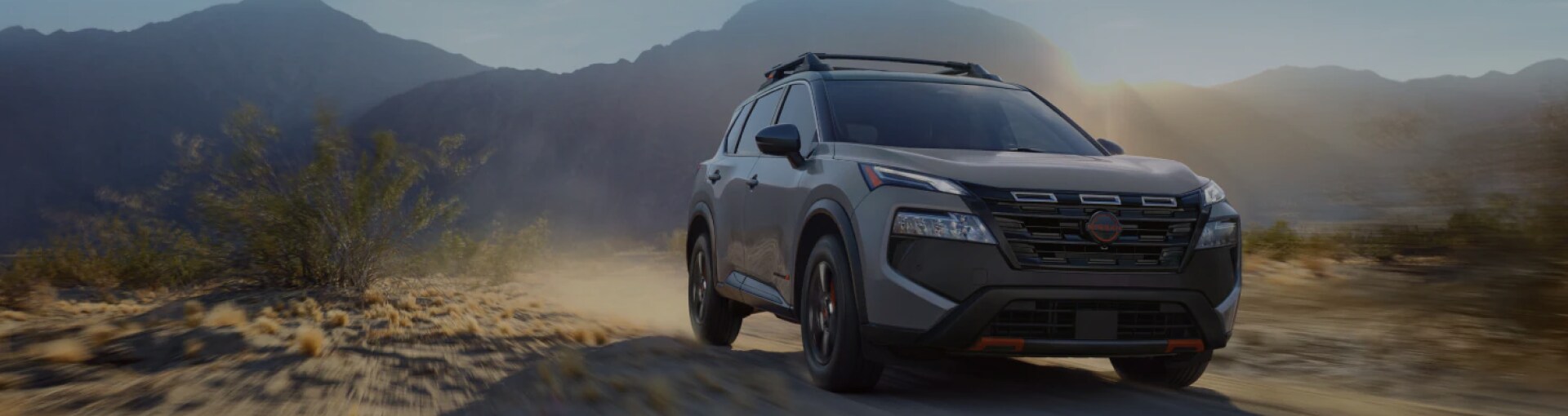 2025 Rogue