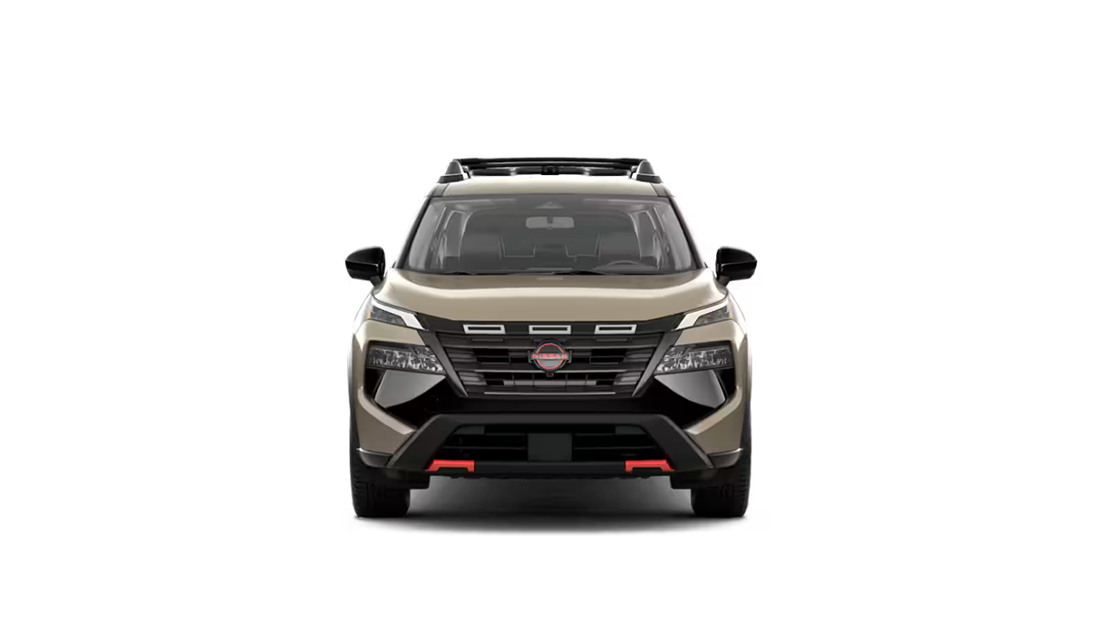 2025 Rogue