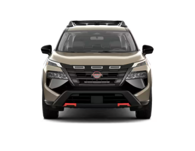 2025 Rogue