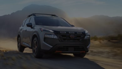 2025 Rogue