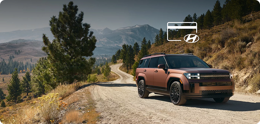 Hyundai Pay in-vehicle payment