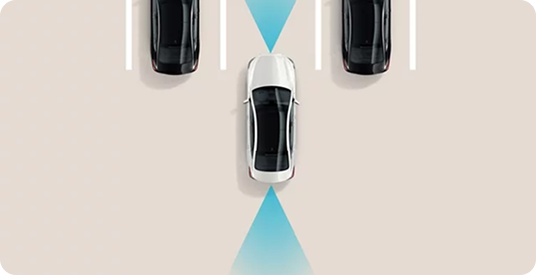 Remote Smart Parking Assist