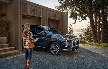 2025 Palisade