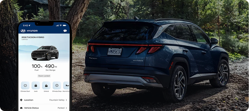 Bluelink+ connected car service