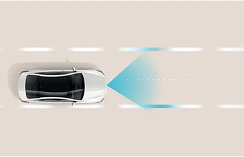 2025 Elantra