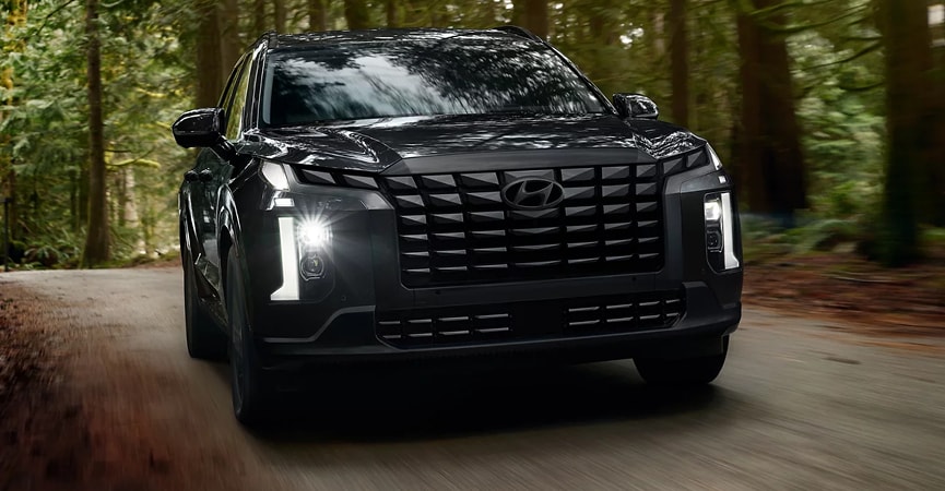 2025 Palisade