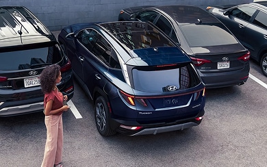 Remote Smart Parking Assist demonstration