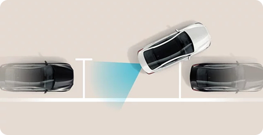 Remote Smart Parking Assist