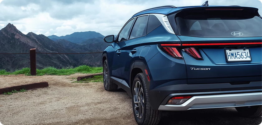 Distinctive rear LED lighting