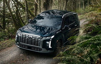 2025 Palisade