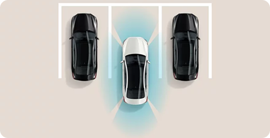 Surround View Monitor