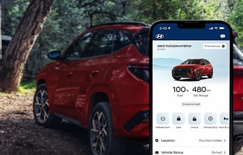 2025 Tucson