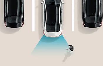 2025 Palisade