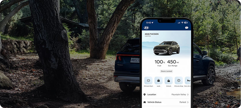 Bluelink+ connected car service