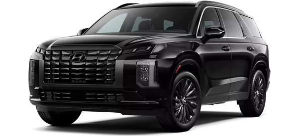 2025 Palisade