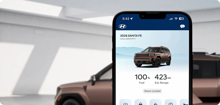 Bluelink+ connectivity