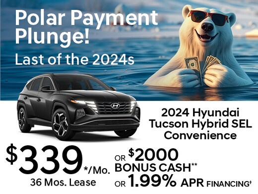 New Hyundai and Used Car Dealer Serving Long Island City | Koeppel 