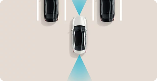 Remote Smart Parking Assist