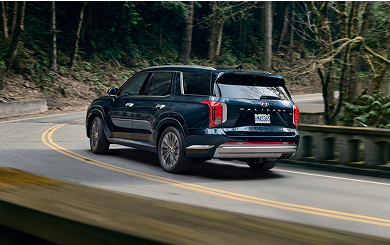 2025 Palisade