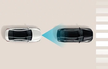 2025 Palisade