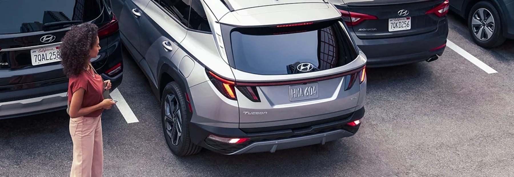 Remote Smart Parking Assist