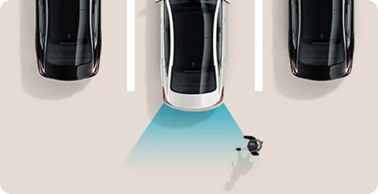 Parking Collision-Avoidance Assist