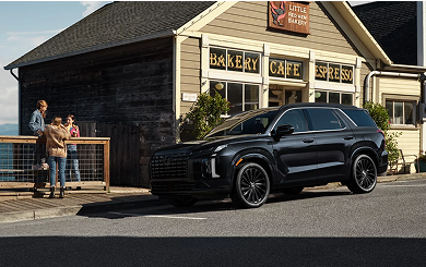 2025 Palisade