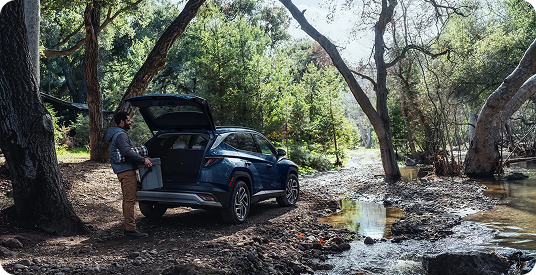 Hands-free smart power liftgate