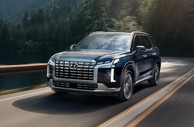 2025 Palisade