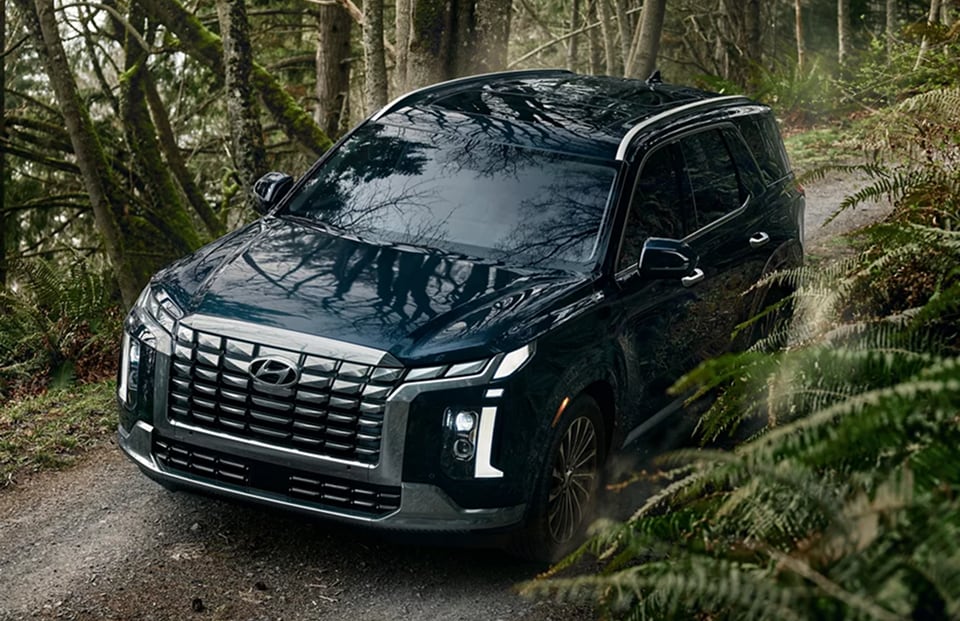 2025 Palisade