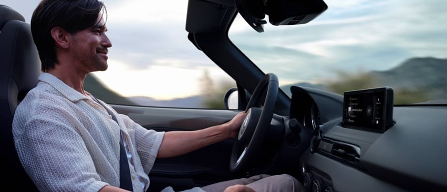 Driver-centric cockpit interior