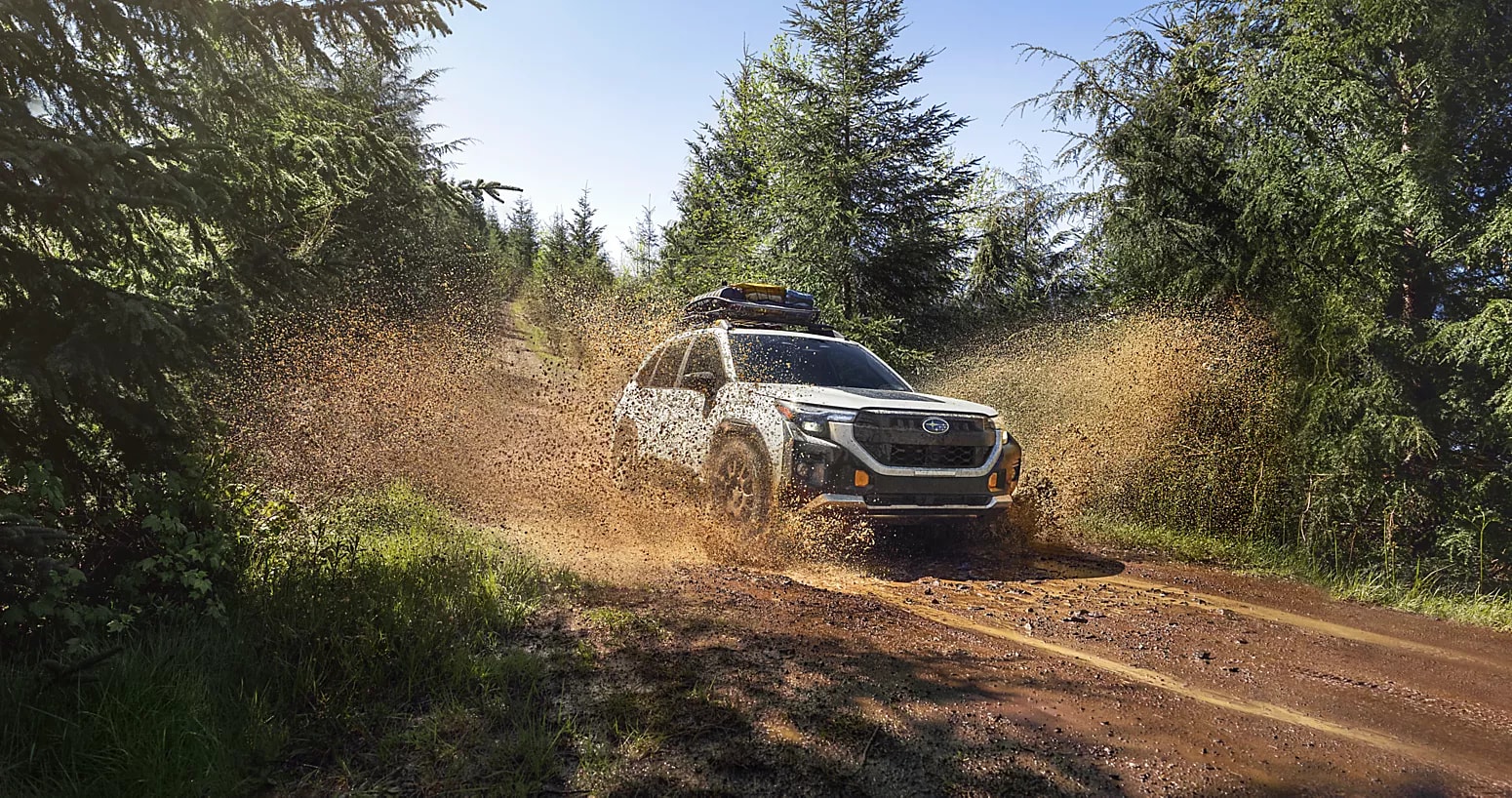 Forester Exterior Gallery 2
