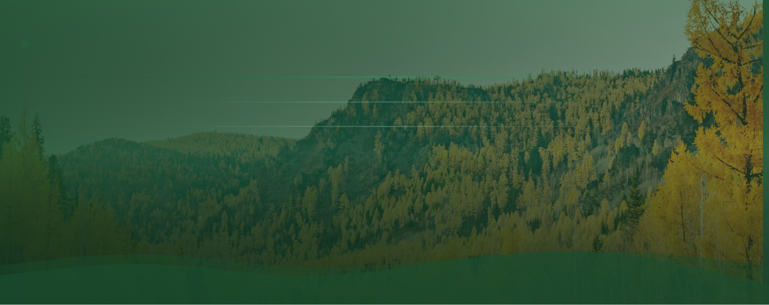 Koeppel Subaru Dealership Serving Roslyn, NY