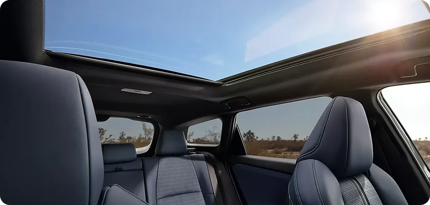 Panoramic Fixed-Glass Roof
