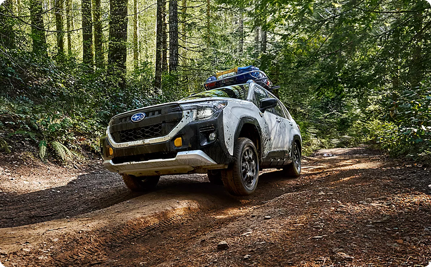 Subaru Forester Ground Clearance