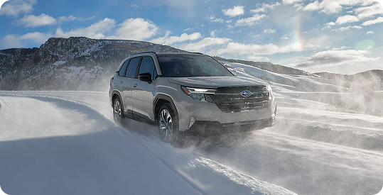 Subaru Forester Capability