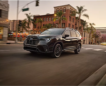 2025 Ascent