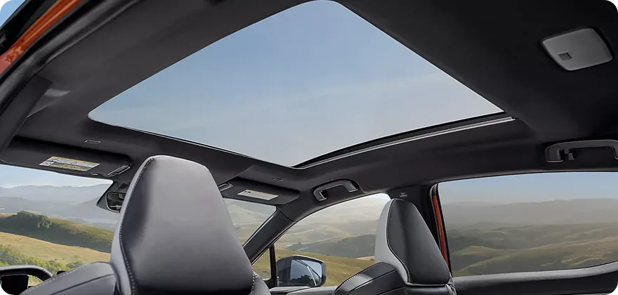 Panoramic Fixed-Glass Roof
