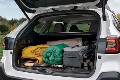 Gallary_5