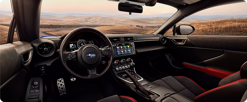 Customizable Cockpit