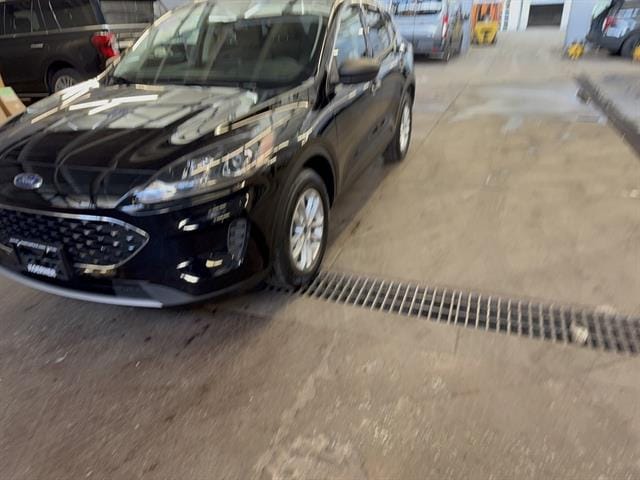 2022 Ford Escape SE's photo