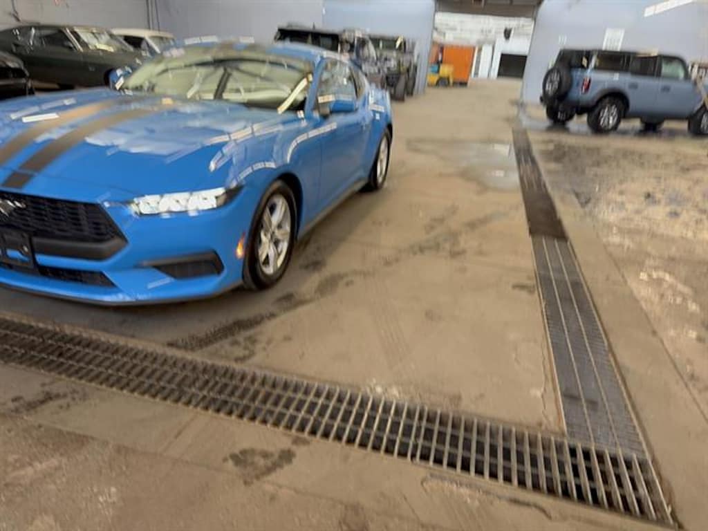 Certified 2024 Ford Mustang Ecoboost