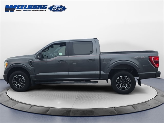 Used 2023 Ford F-150 XLT with VIN 1FTFW1E53PKE55149 for sale in Redwood Falls, Minnesota