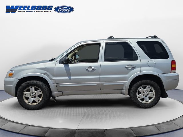 Used 2006 Ford Escape Limited with VIN 1FMYU94196KA71351 for sale in Redwood Falls, Minnesota