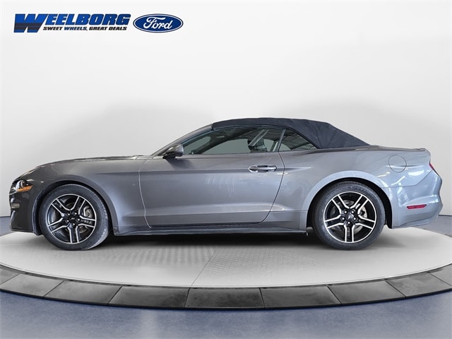 Used 2021 Ford Mustang EcoBoost Premium with VIN 1FATP8UH5M5102660 for sale in Redwood Falls, Minnesota