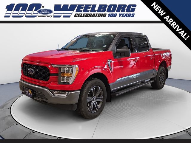 Certified 2023 Ford F-150 XLT with VIN 1FTFW1E59PKD83051 for sale in Redwood Falls, Minnesota