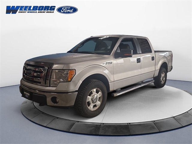 2010 Ford F-150 XL