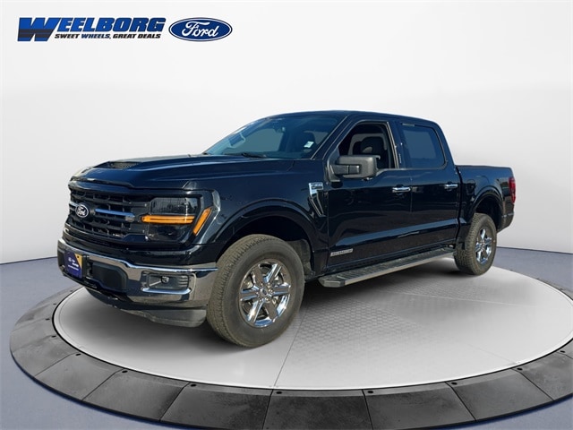 2024 Ford F-150 XLT's photo