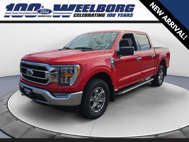 Used 2023 Ford F-150 XLT with VIN 1FTFW1E53PKF17665 for sale in Redwood Falls, Minnesota