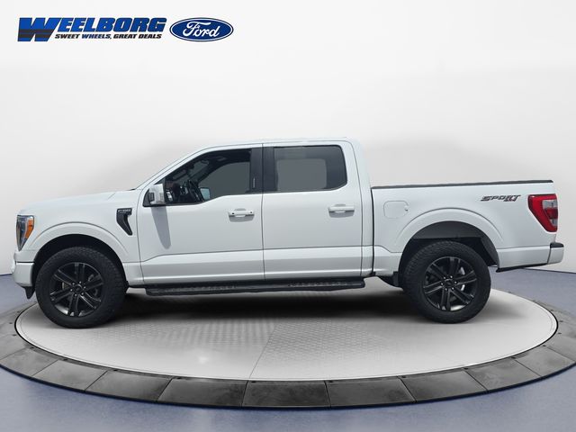 Used 2021 Ford F-150 Lariat with VIN 1FTEW1EP7MKE93184 for sale in Redwood Falls, Minnesota
